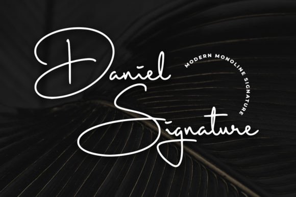 Daniel Signature: A Designer’s Take on Real-World Use