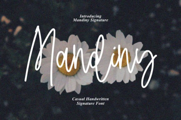 Mandiny: A Handmade Script Font That Elevates Craft and Product Design