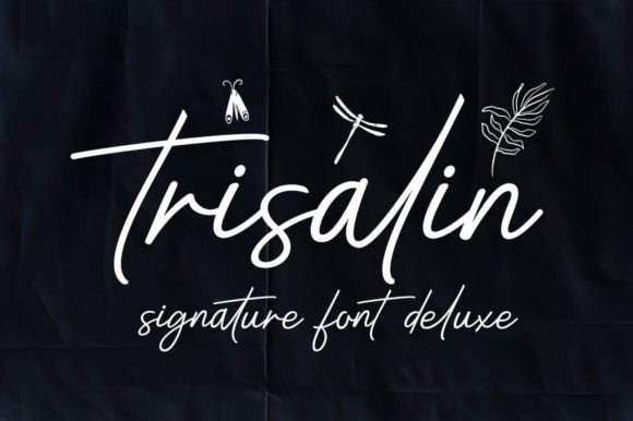 Trisalin: The Handwritten Script Font That Elevates Small Business Branding
